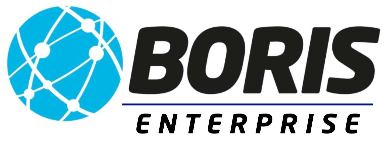 Boris-enterprise