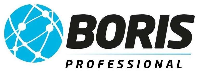 Boris-professional-2